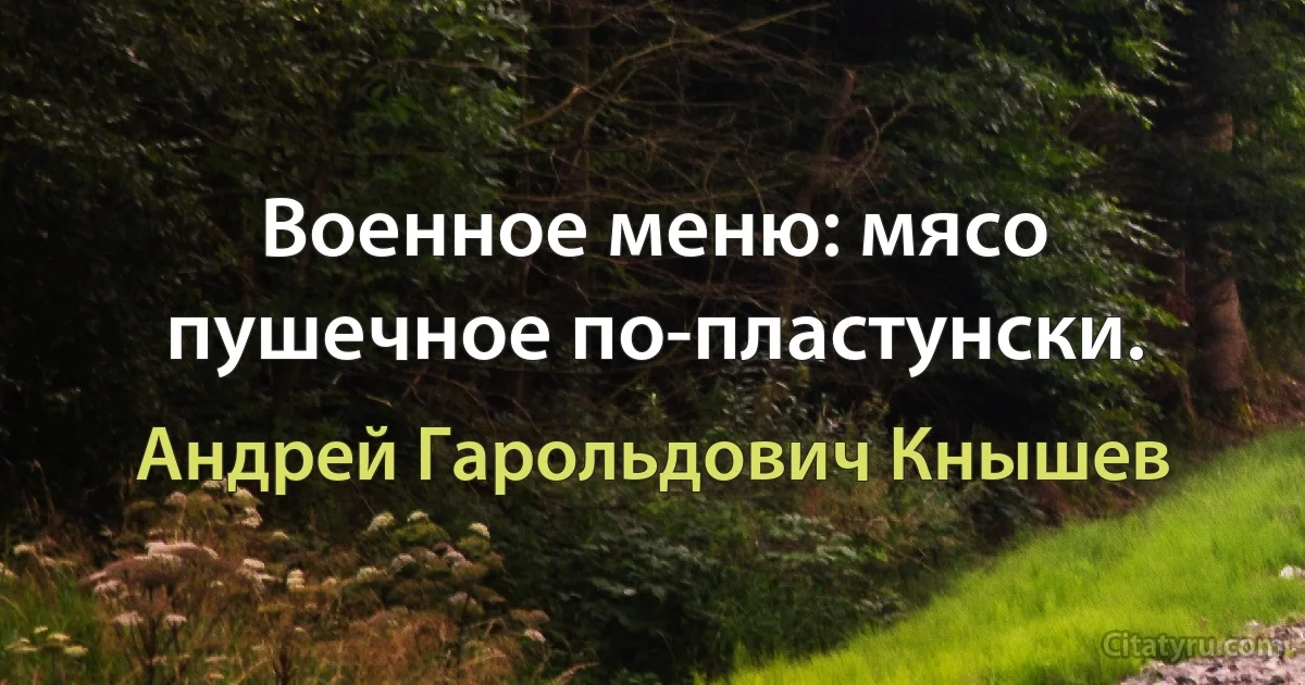 Военное меню: мясо пушечное по-пластунски. (Андрей Гарольдович Кнышев)