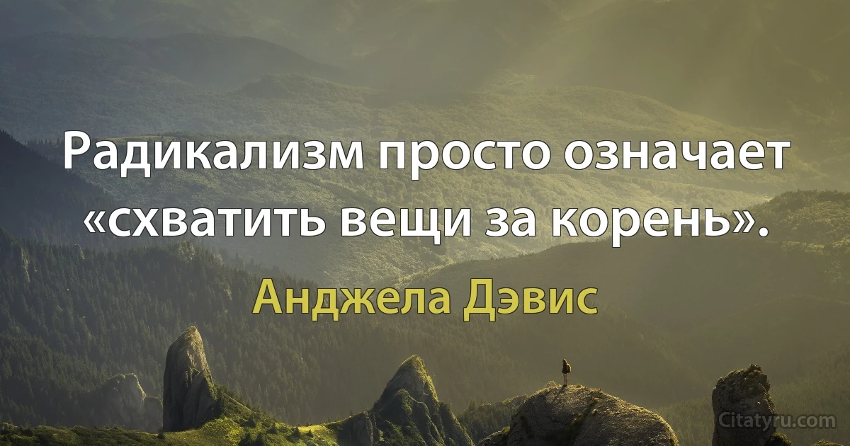 Радикализм просто означает «схватить вещи за корень». (Анджела Дэвис)