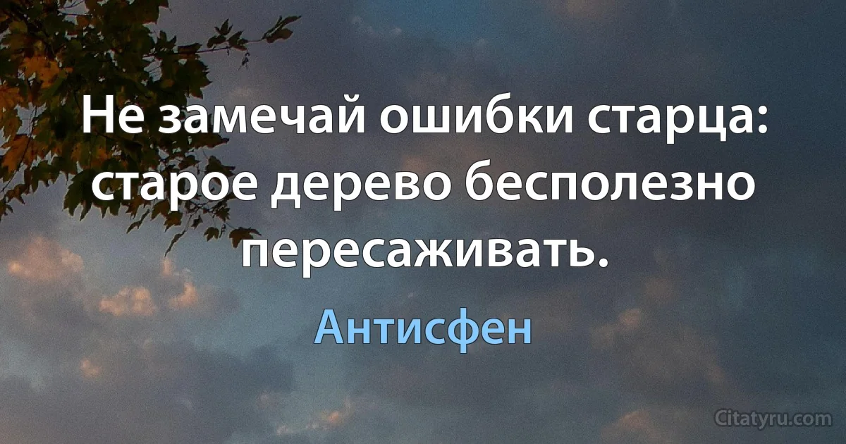 Не замечай ошибки старца: старое дерево бесполезно пересаживать. (Антисфен)