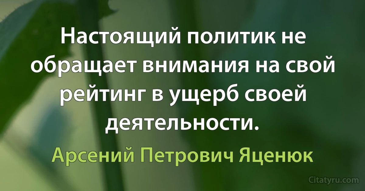 Настоящий политик не обращает внимания на свой рейтинг в ущерб своей деятельности. (Арсений Петрович Яценюк)