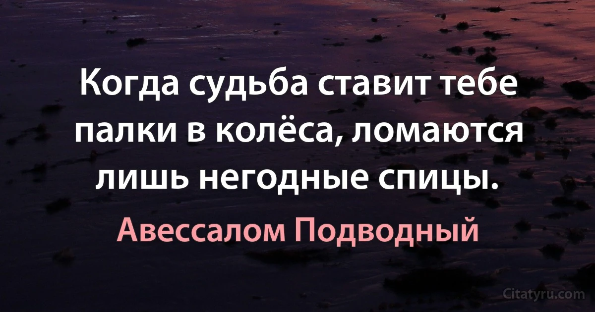 Когда судьба ставит тебе палки в колёса, ломаются лишь негодные спицы. (Авессалом Подводный)