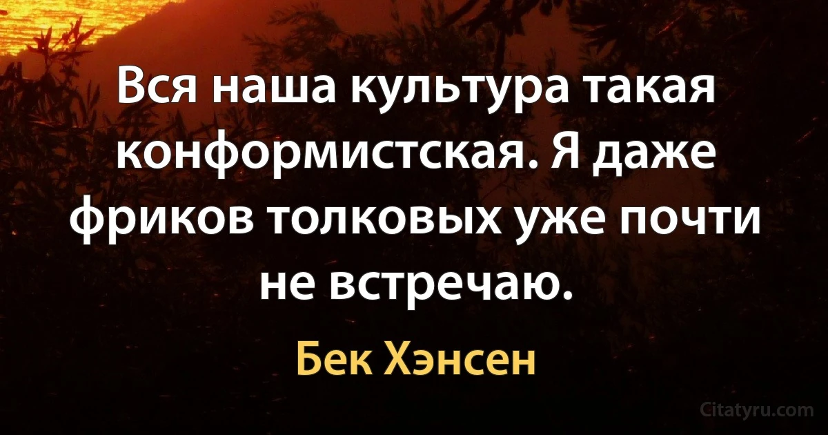 Вся наша культура такая конформистская. Я даже фриков толковых уже почти не встречаю. (Бек Хэнсен)