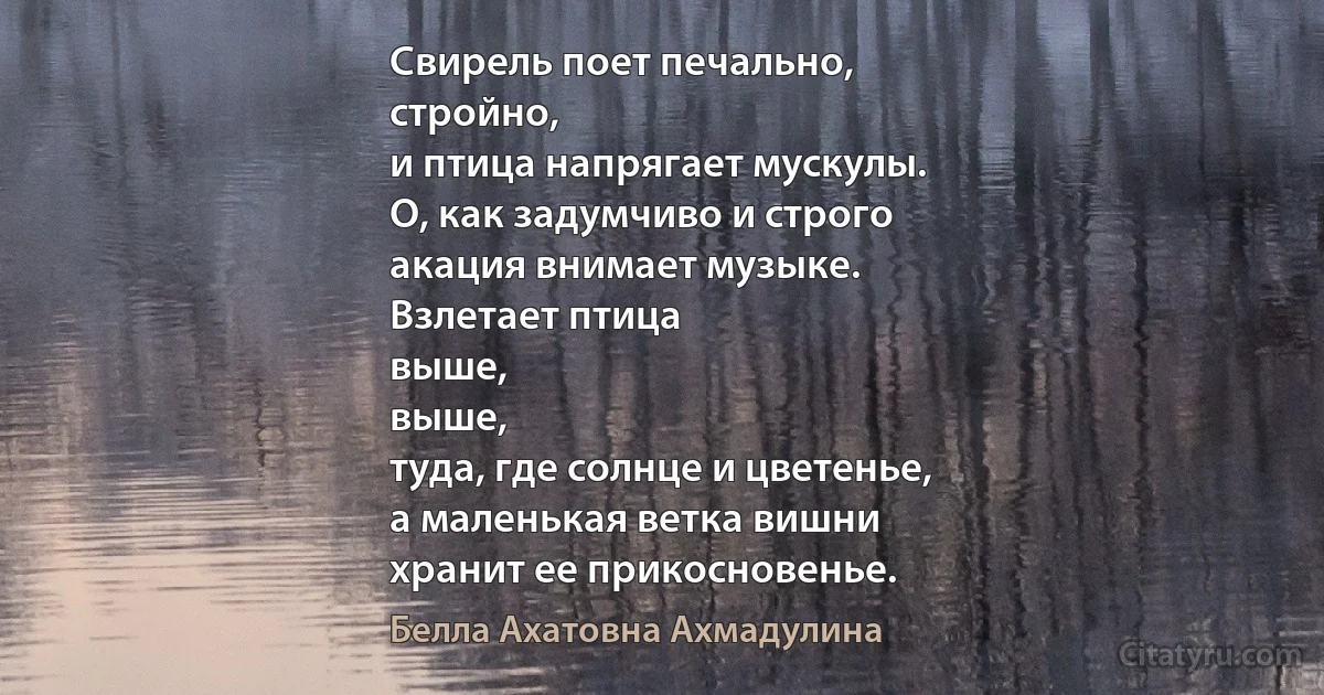 Свирель поет печально,
стройно,
и птица напрягает мускулы.
О, как задумчиво и строго
акация внимает музыке.
Взлетает птица
выше,
выше,
туда, где солнце и цветенье,
а маленькая ветка вишни
хранит ее прикосновенье. (Белла Ахатовна Ахмадулина)