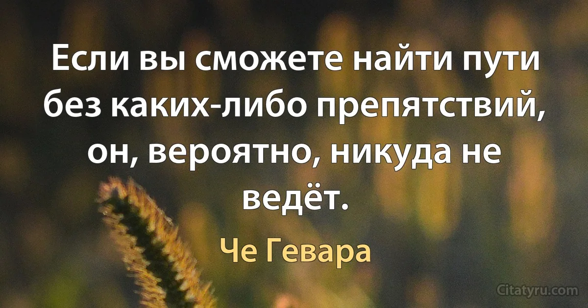 Если вы сможете найти пути без каких-либо препятствий, он, вероятно, никуда не ведёт. (Че Гевара)