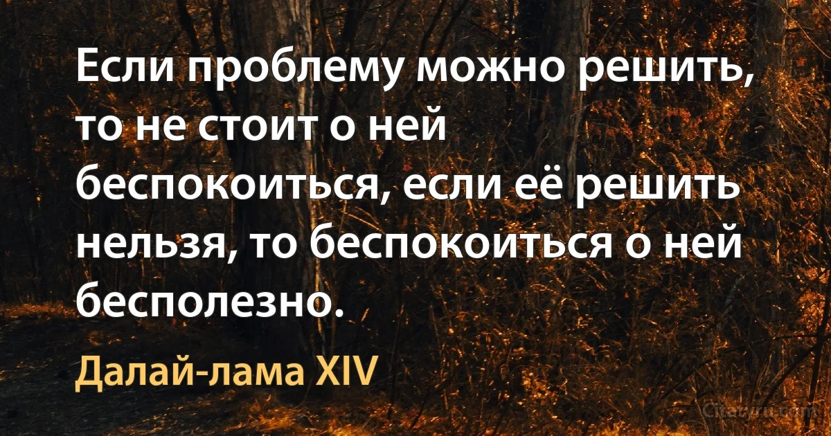 Eсли проблему можно решить, то не стоит о ней беспокоиться, если её решить нельзя, то беспокоиться о ней бесполезно. (Далай-лама XIV)