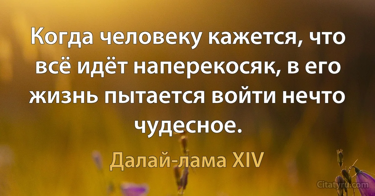 Когда человеку кажется, что всё идёт наперекосяк, в его жизнь пытается войти нечто чудесное. (Далай-лама XIV)