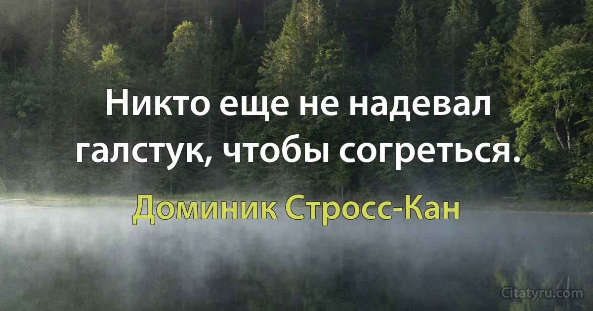 Никто еще не надевал галстук, чтобы согреться. (Доминик Стросс-Кан)