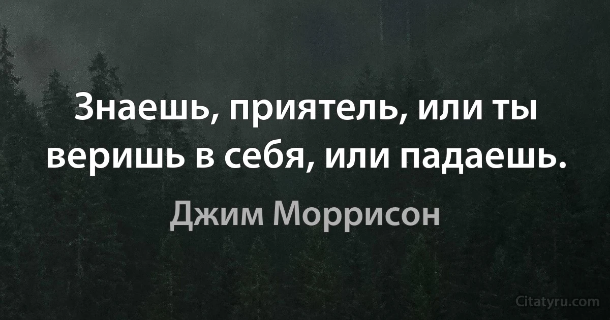 Знаешь, приятель, или ты веришь в себя, или падаешь. (Джим Моррисон)