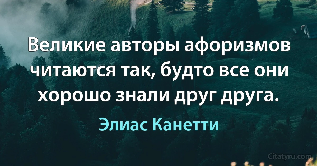 Великие авторы афоризмов читаются так, будто все они хорошо знали друг друга. (Элиас Канетти)