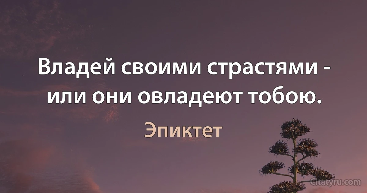 Владей своими страстями - или они овладеют тобою. (Эпиктет)