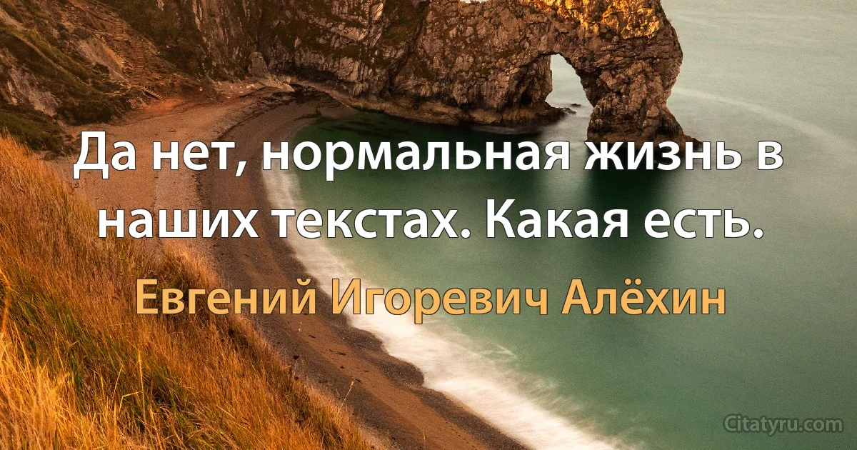 Да нет, нормальная жизнь в наших текстах. Какая есть. (Евгений Игоревич Алёхин)