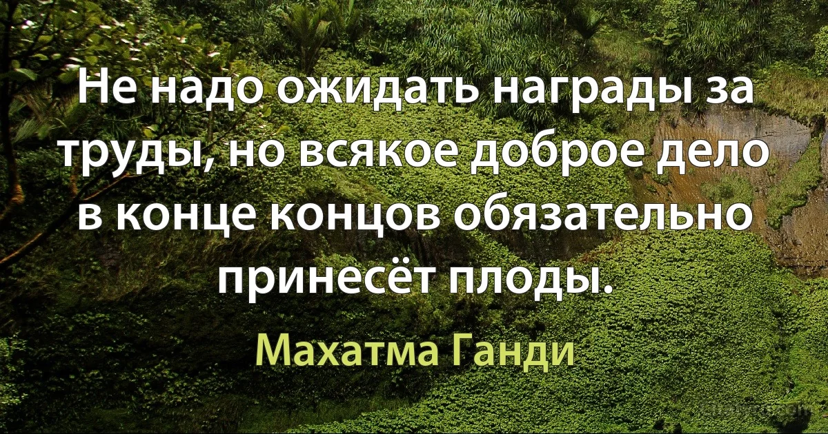 Не надо ожидать награды за труды, но всякое доброе дело в конце концов обязательно принесёт плоды. (Махатма Ганди)