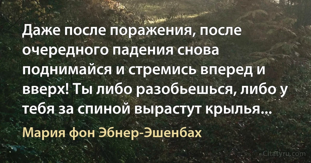 Даже после поражения, после очередного падения снова поднимайся и стремись вперед и вверх! Ты либо разобьешься, либо у тебя за спиной вырастут крылья... (Мария фон Эбнер-Эшенбах)