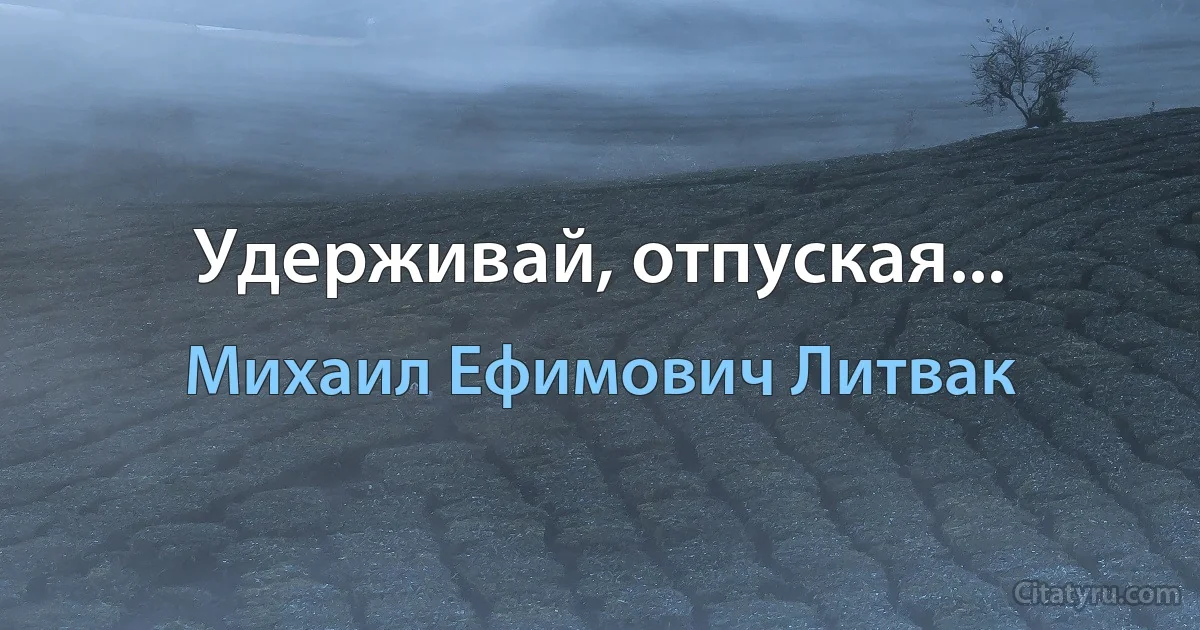 Удерживай, отпуская... (Михаил Ефимович Литвак)