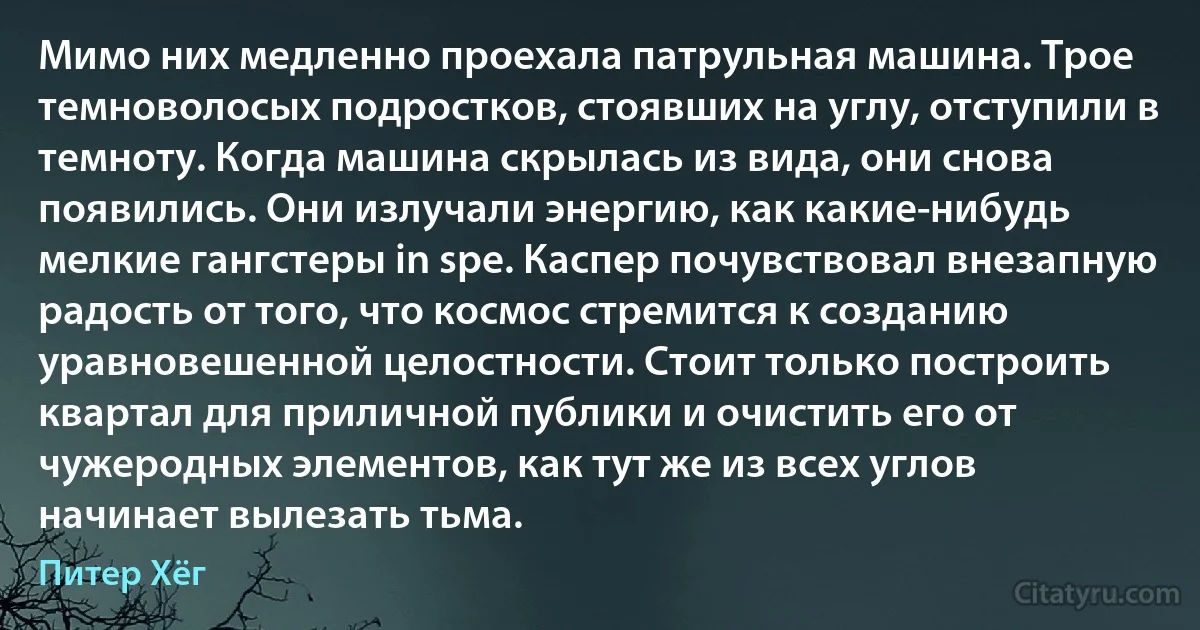 Мимо них медленно проехала патрульная машина. Трое темноволосых подростков, стоявших на углу, отступили в темноту. Когда машина скрылась из вида, они снова появились. Они излучали энергию, как какие-нибудь мелкие гангстеры in spe. Каспер почувствовал внезапную радость от того, что космос стремится к созданию уравновешенной целостности. Стоит только построить квартал для приличной публики и очистить его от чужеродных элементов, как тут же из всех углов начинает вылезать тьма. (Питер Хёг)