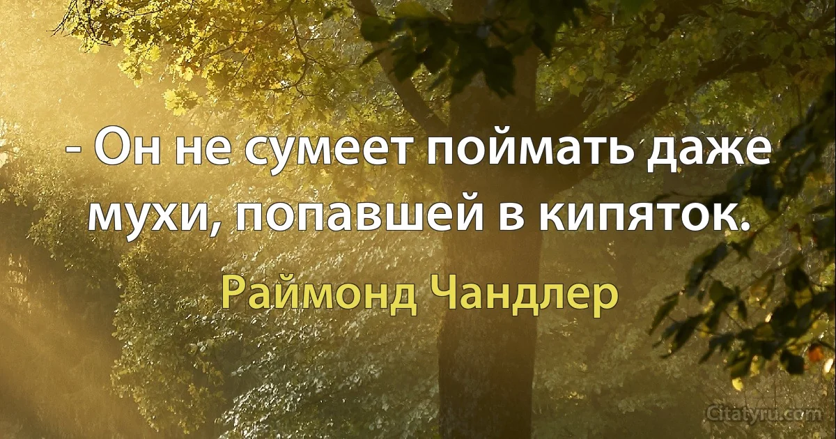 - Он не сумеет поймать даже мухи, попавшей в кипяток. (Раймонд Чандлер)