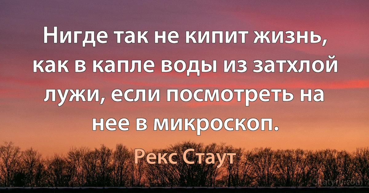 Нигде так не кипит жизнь, как в капле воды из затхлой лужи, если посмотреть на нее в микроскоп. (Рекс Стаут)