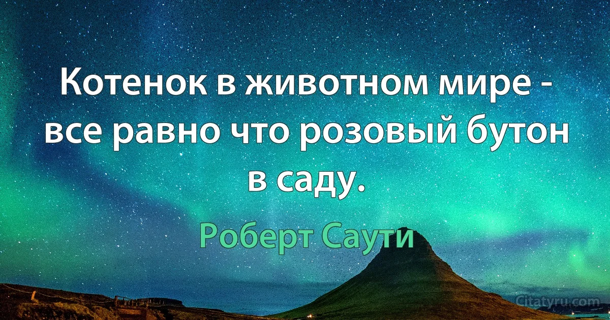 Котенок в животном мире - все равно что розовый бутон в саду. (Роберт Саути)