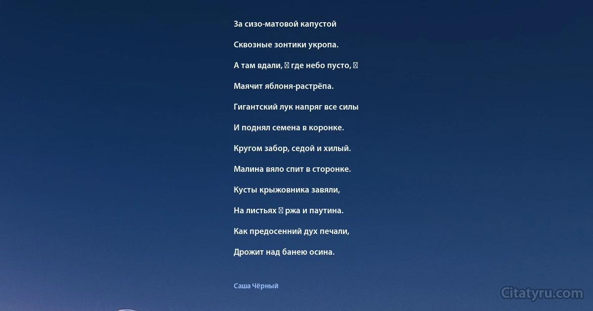 За сизо-матовой капустой

Сквозные зонтики укропа.

А там вдали, ― где небо пусто, ―

Маячит яблоня-растрёпа.

Гигантский лук напряг все силы

И поднял семена в коронке.

Кругом забор, седой и хилый.

Малина вяло спит в сторонке.

Кусты крыжовника завяли,

На листьях ― ржа и паутина.

Как предосенний дух печали,

Дрожит над банею осина. (Саша Чёрный)