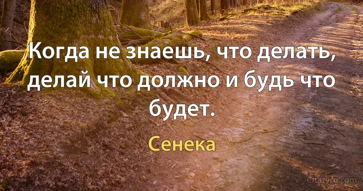 Когда не знаешь, что делать, делай что должно и будь что будет. (Сенека)