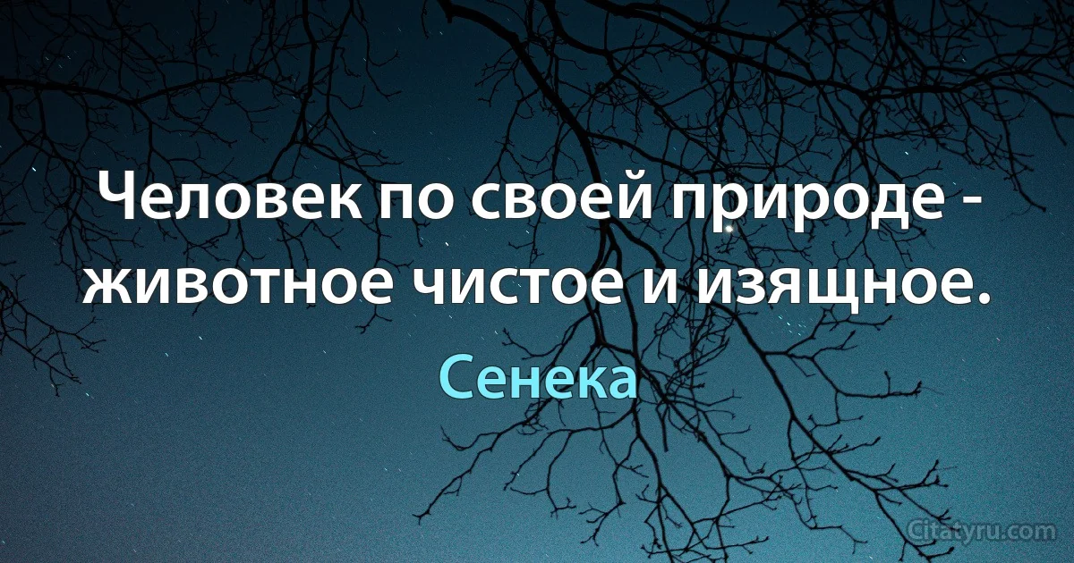 Человек по своей природе - животное чистое и изящное. (Сенека)