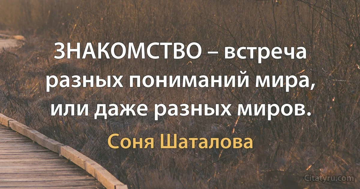 ЗНАКОМСТВО – встреча разных пониманий мира, или даже разных миров. (Соня Шаталова)