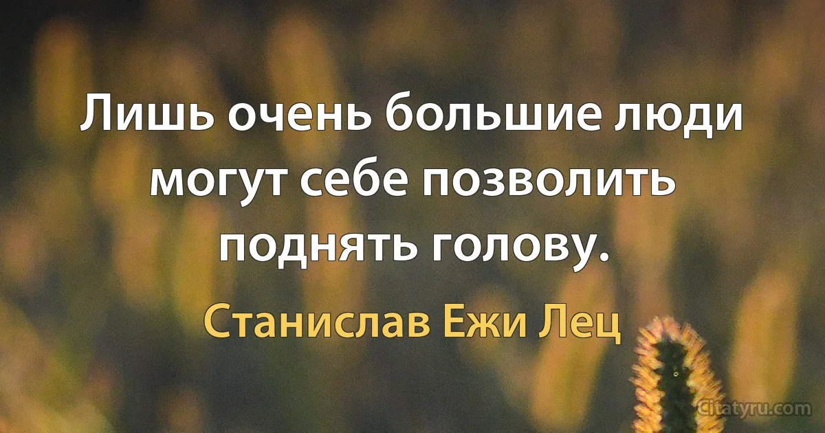 Лишь очень большие люди могут себе позволить поднять голову. (Станислав Ежи Лец)