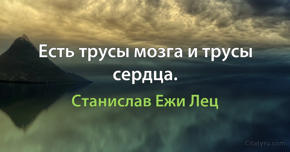 Есть трусы мозга и трусы сердца. (Станислав Ежи Лец)