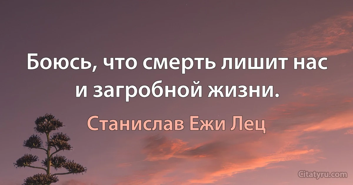 Боюсь, что смерть лишит нас и загробной жизни. (Станислав Ежи Лец)