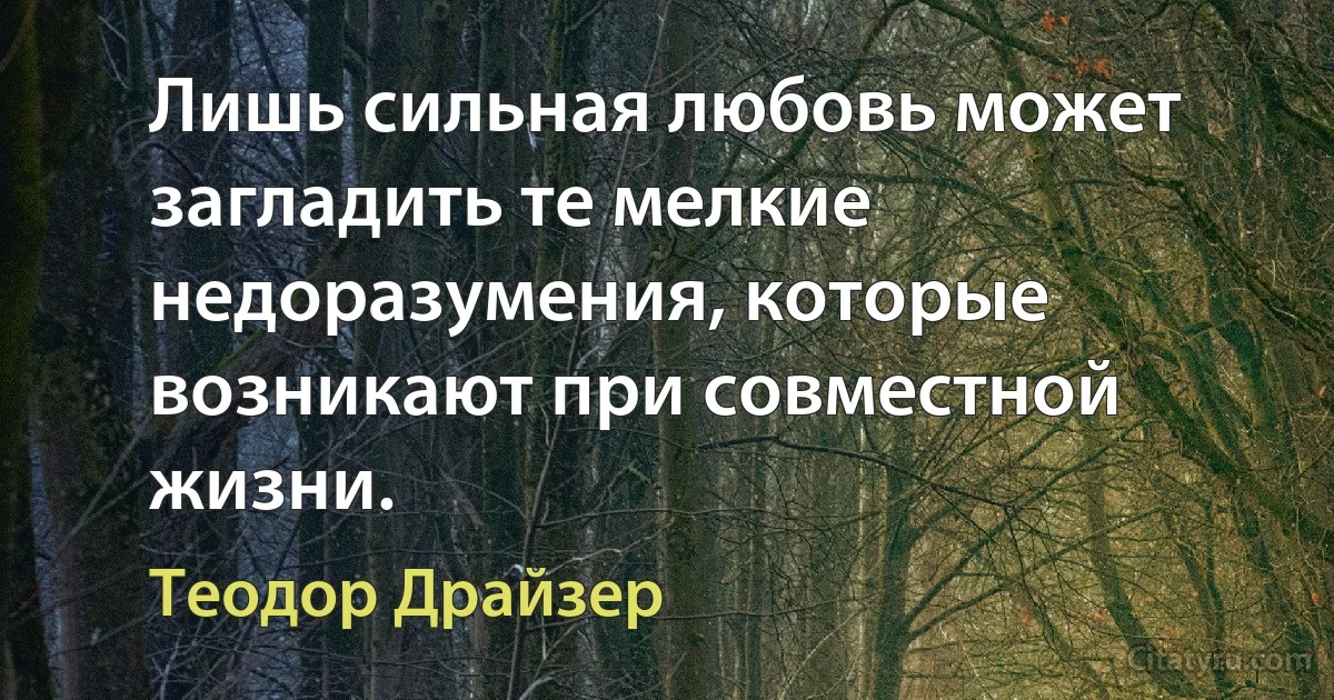 Лишь сильная любовь может загладить те мелкие недоразумения, которые возникают при совместной жизни. (Теодор Драйзер)