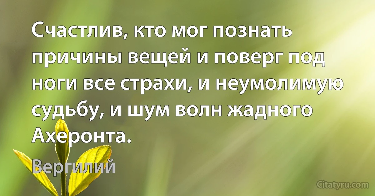 Счастлив, кто мог познать причины вещей и поверг под ноги все страхи, и неумолимую судьбу, и шум волн жадного Ахеронта. (Вергилий)