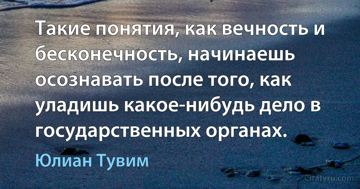 Такие понятия, как вечность и бесконечность, начинаешь осознавать после того, как уладишь какое-нибудь дело в государственных органах. (Юлиан Тувим)