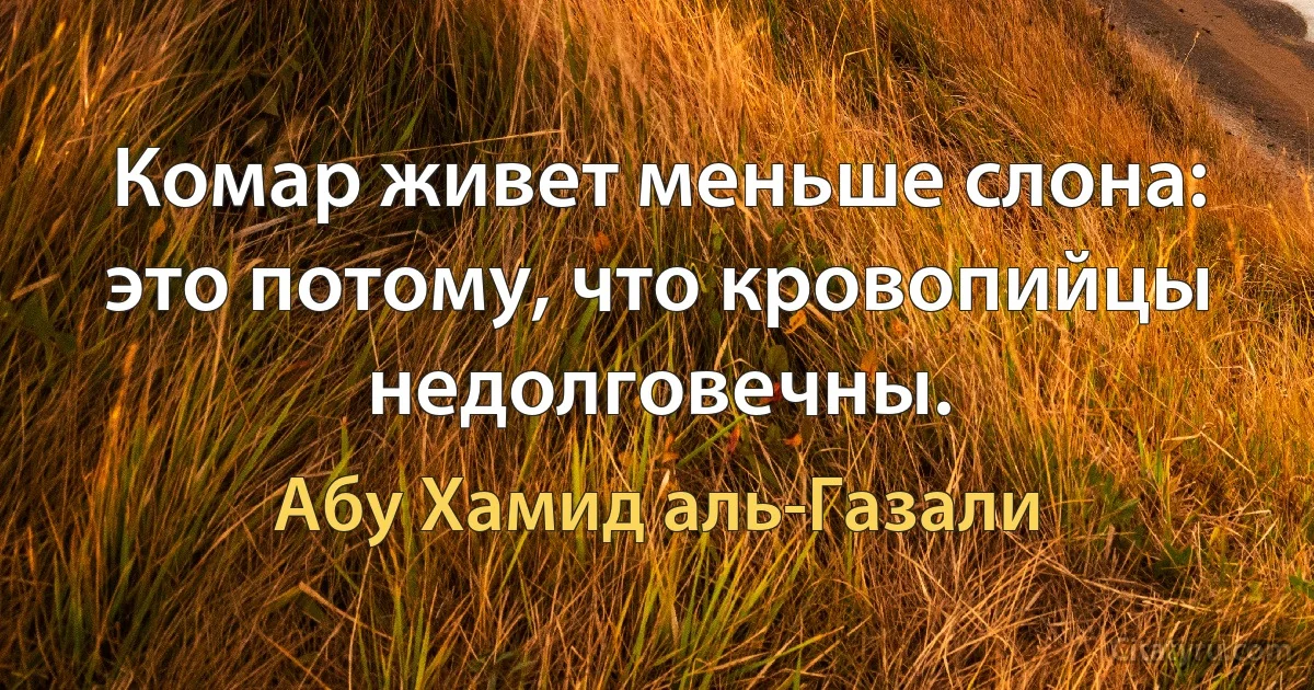 Комар живет меньше слона: это потому, что кровопийцы недолговечны. (Абу Хамид аль-Газали)