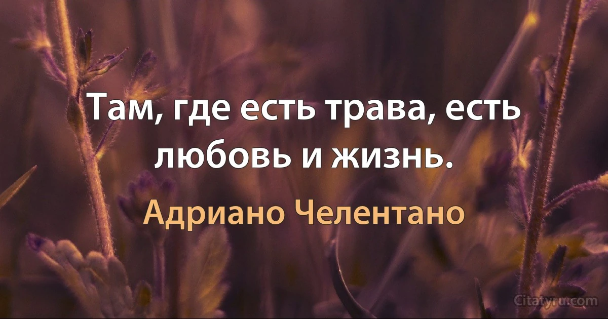 Там, где есть трава, есть любовь и жизнь. (Адриано Челентано)