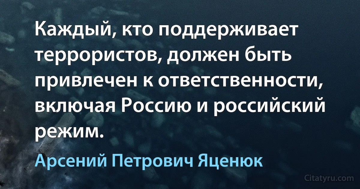 Каждый, кто поддерживает террористов, должен быть привлечен к ответственности, включая Россию и российский режим. (Арсений Петрович Яценюк)