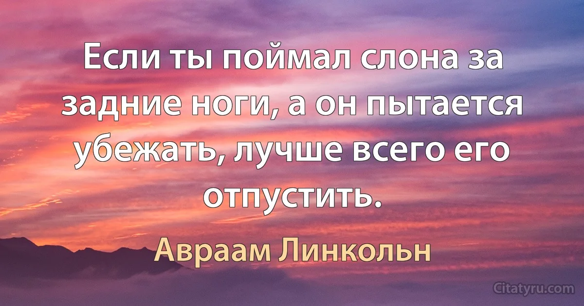 Если ты поймал слона за задние ноги, а он пытается убежать, лучше всего его отпустить. (Авраам Линкольн)