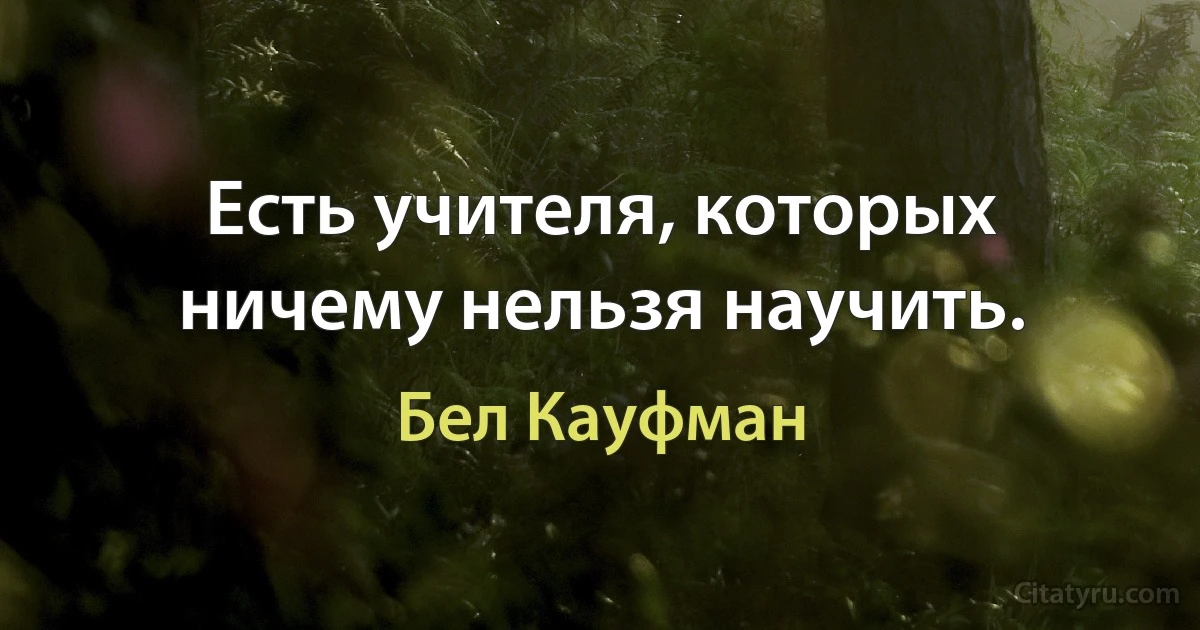 Есть учителя, которых ничему нельзя научить. (Бел Кауфман)