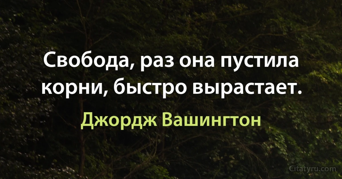 Свобода, раз она пустила корни, быстро вырастает. (Джордж Вашингтон)