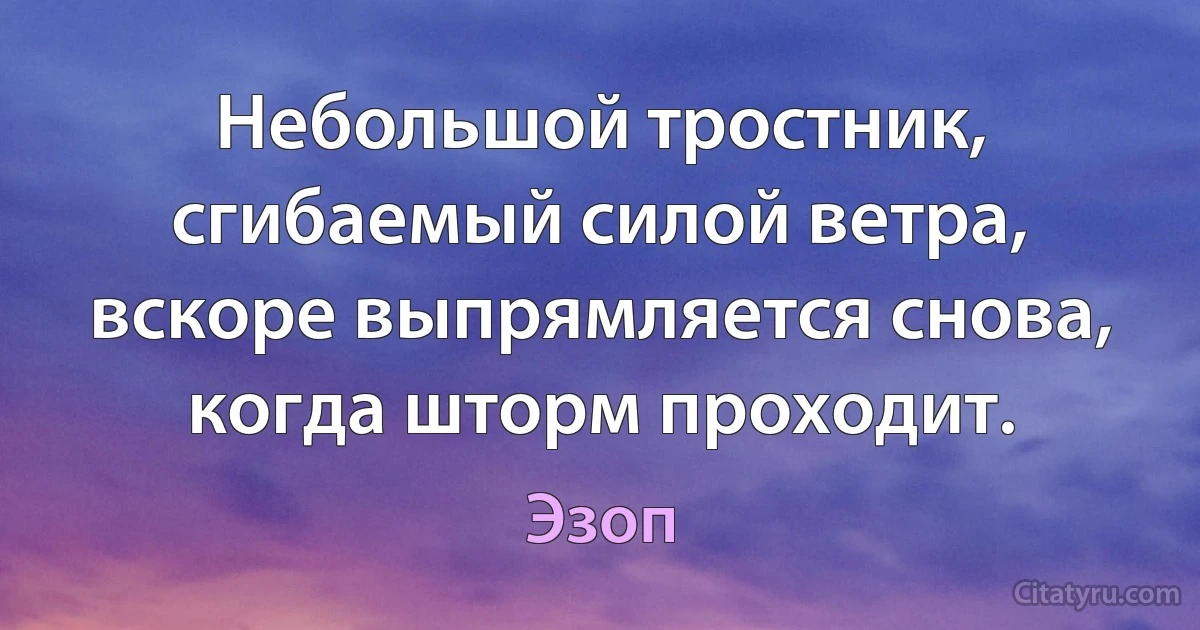 Небольшой тростник, сгибаемый силой ветра, вскоре выпрямляется снова, когда шторм проходит. (Эзоп)