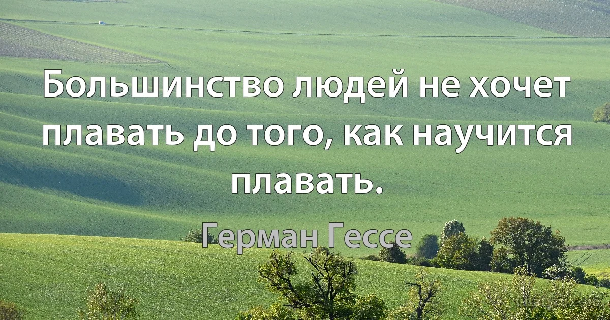 Большинство людей не хочет плавать до того, как научится плавать. (Герман Гессе)