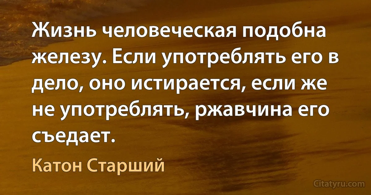 Жизнь человеческая подобна железу. Если употреблять его в дело, оно истирается, если же не употреблять, ржавчина его съедает. (Катон Старший)