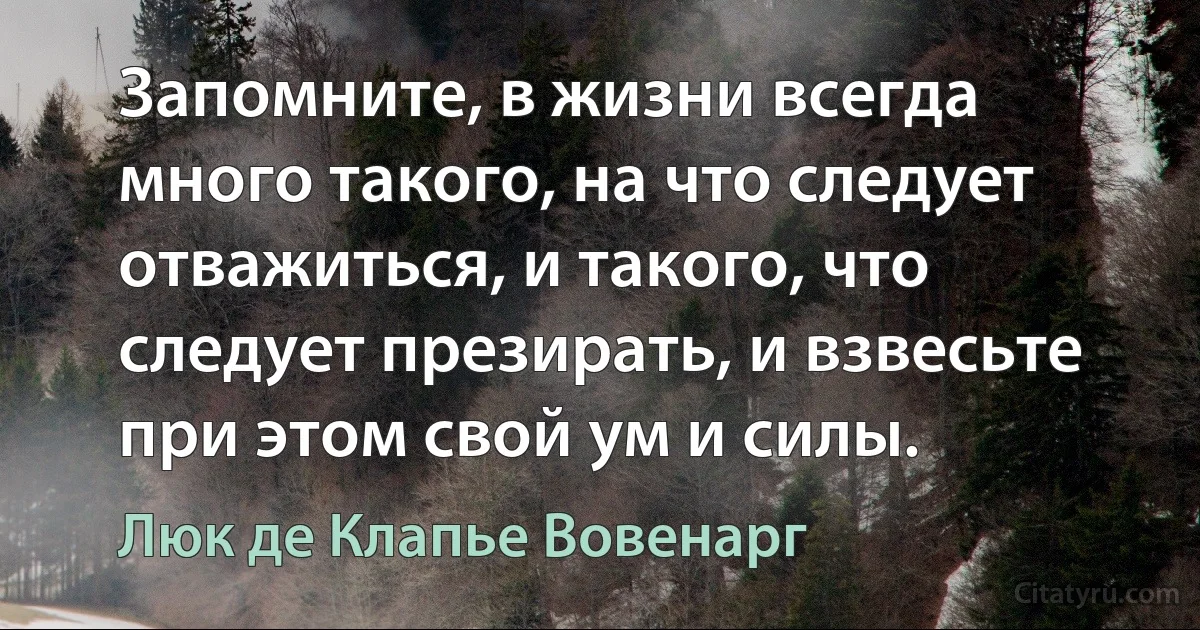 Запомните, в жизни всегда много такого, на что следует отважиться, и такого, что следует презирать, и взвесьте при этом свой ум и силы. (Люк де Клапье Вовенарг)