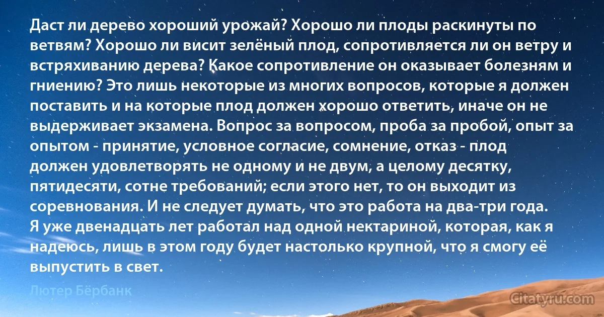 Даст ли дерево хороший урожай? Хорошо ли плоды раскинуты по ветвям? Хорошо ли висит зелёный плод, сопротивляется ли он ветру и встряхиванию дерева? Какое сопротивление он оказывает болезням и гниению? Это лишь некоторые из многих вопросов, которые я должен поставить и на которые плод должен хорошо ответить, иначе он не выдерживает экзамена. Вопрос за вопросом, проба за пробой, опыт за опытом - принятие, условное согласие, сомнение, отказ - плод должен удовлетворять не одному и не двум, а целому десятку, пятидесяти, сотне требований; если этого нет, то он выходит из соревнования. И не следует думать, что это работа на два-три года. Я уже двенадцать лет работал над одной нектариной, которая, как я надеюсь, лишь в этом году будет настолько крупной, что я смогу её выпустить в свет. (Лютер Бёрбанк)