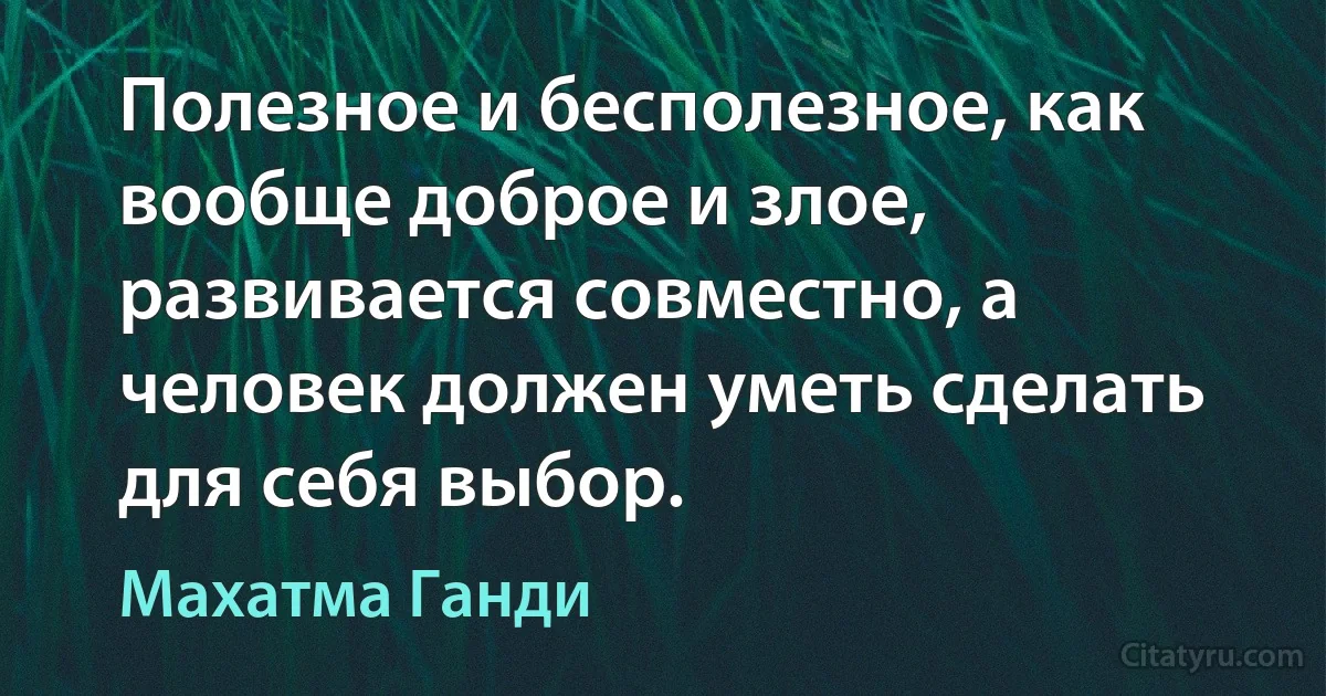 Полезное и бесполезное, как вообще доброе и злое, развивается совместно, а человек должен уметь сделать для себя выбор. (Махатма Ганди)