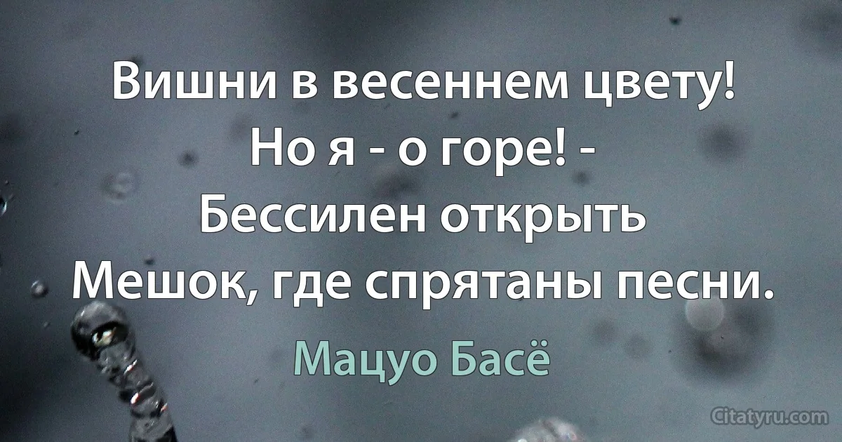 Вишни в весеннем цвету!
Но я - о горе! -
Бессилен открыть
Мешок, где спрятаны песни. (Мацуо Басё)