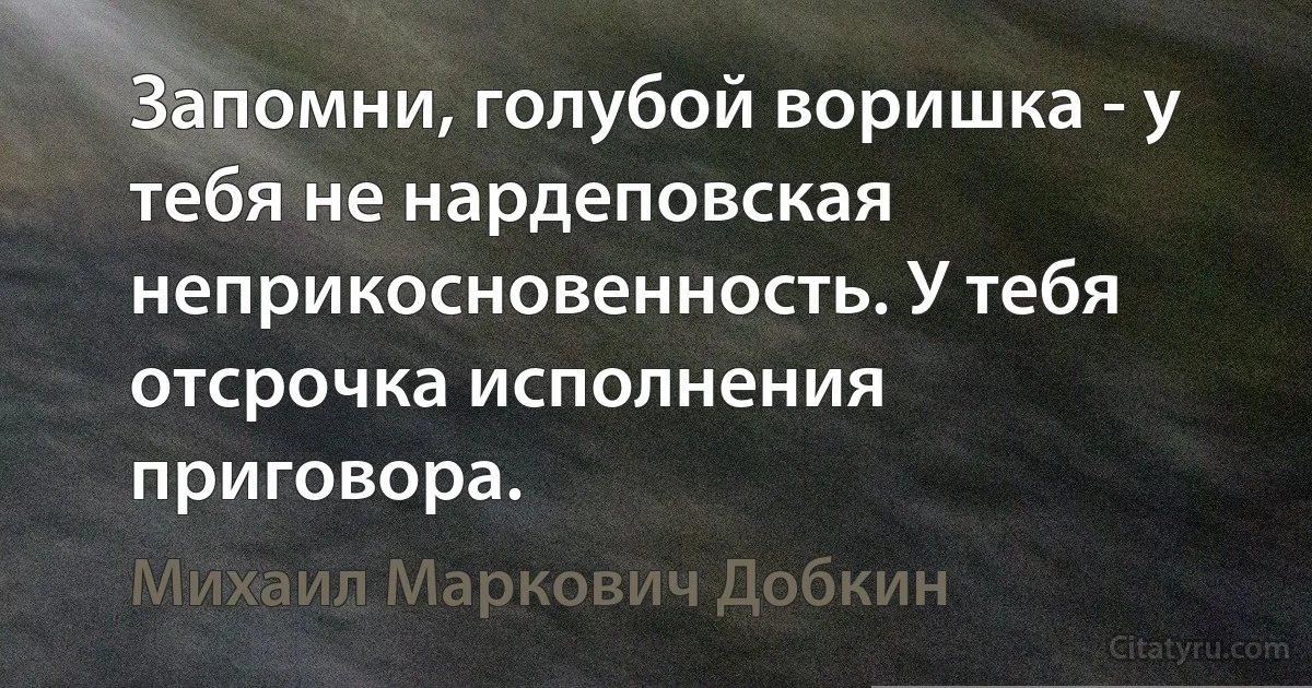 Запомни, голубой воришка - у тебя не нардеповская неприкосновенность. У тебя отсрочка исполнения приговора. (Михаил Маркович Добкин)