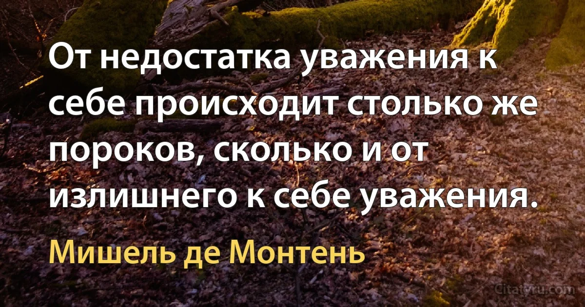 От недостатка уважения к себе происходит столько же пороков, сколько и от излишнего к себе уважения. (Мишель де Монтень)