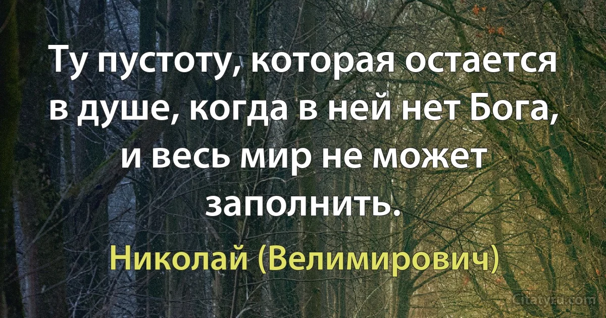 Ту пустоту, которая остается в душе, когда в ней нет Бога, и весь мир не может заполнить. (Николай (Велимирович))