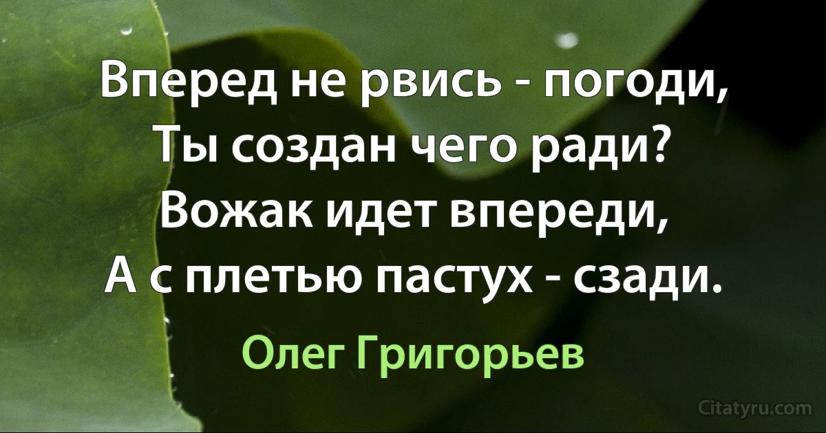 Вперед не рвись - погоди,
Ты создан чего ради? 
Вожак идет впереди,
А с плетью пастух - сзади. (Олег Григорьев)