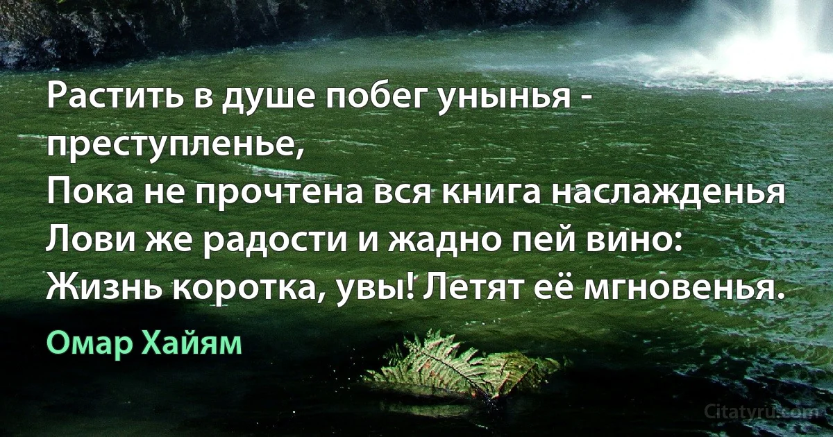 Растить в душе побег унынья - преступленье,
Пока не прочтена вся книга наслажденья
Лови же радости и жадно пей вино:
Жизнь коротка, увы! Летят её мгновенья. (Омар Хайям)